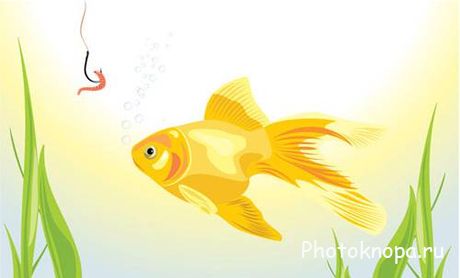     - Goldfish Vector
