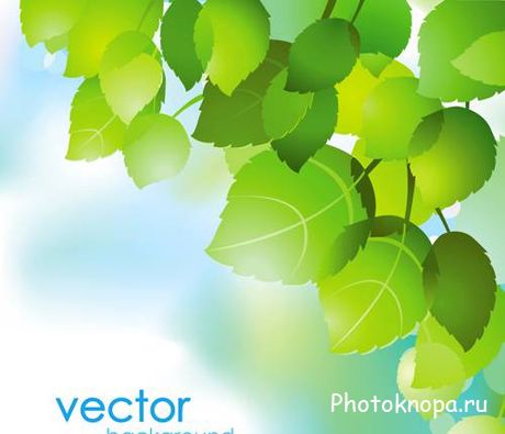Весенние листья в векторе - Spring green leaves Весенние листья в векторе - Spring green leaves