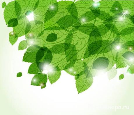Весенние листья в векторе - Spring green leaves Весенние листья в векторе - Spring green leaves