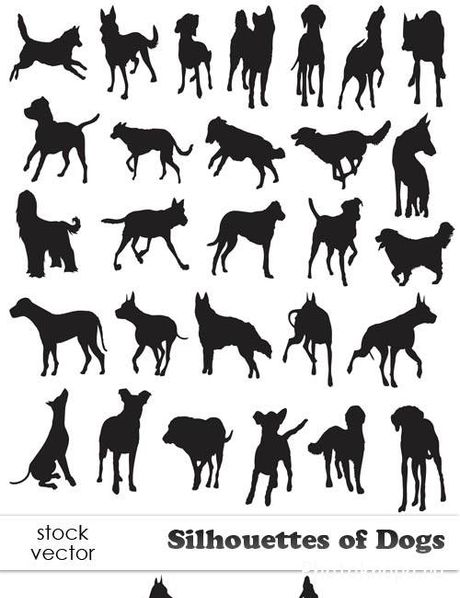     - Silhouettes of Dogs