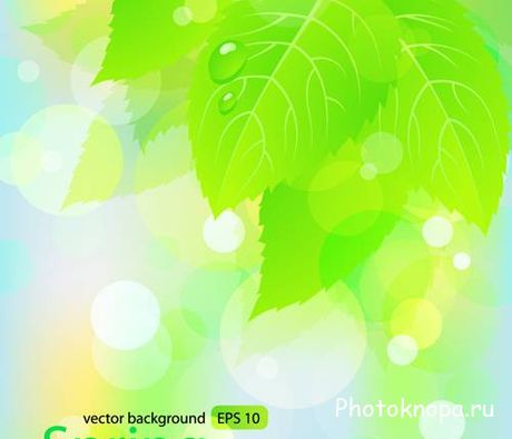 Свежие зеленые листья в векторе - Green leaves Свежие зеленые листья в векторе - Green leaves