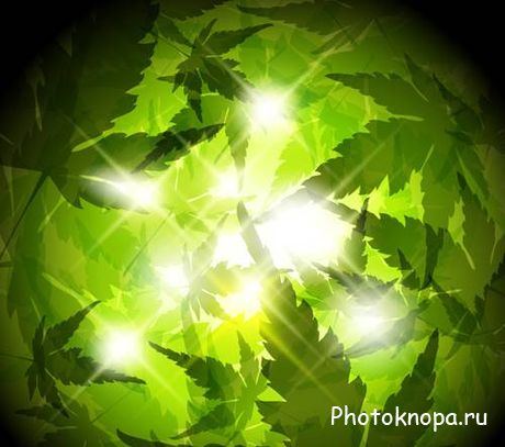 Свежие зеленые листья в векторе - Green leaves Свежие зеленые листья в векторе - Green leaves