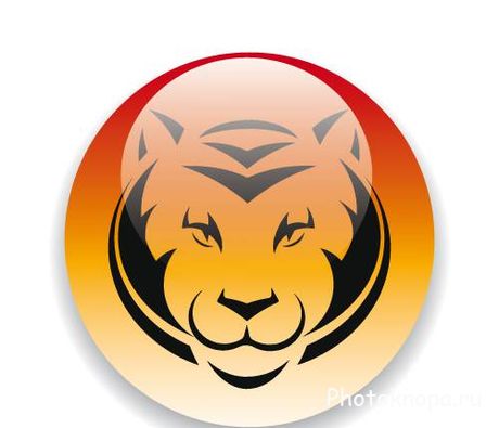 Тигр, лев, леопард, ягуар - векторный клипарт