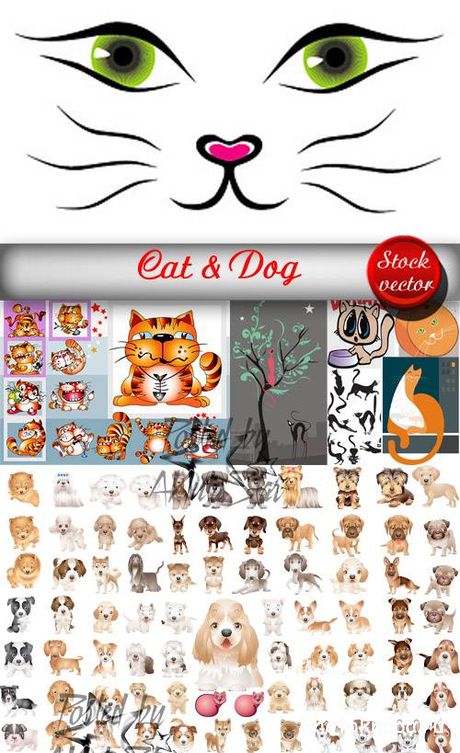 Кошки и собаки в векторе - Cat & Dog Кошки и собаки в векторе - Cat & Dog
