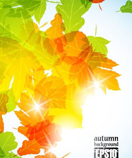 Осенние листья - векторный клипарт