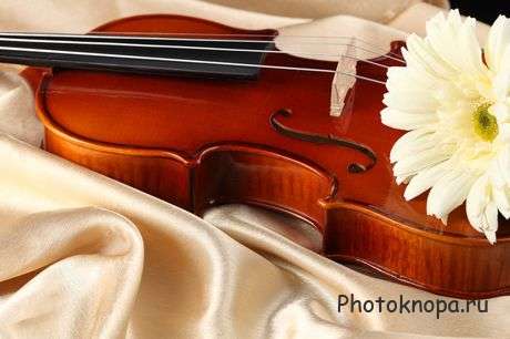 Клипарт скрипка, розы и ноты Клипарт скрипка, розы и ноты