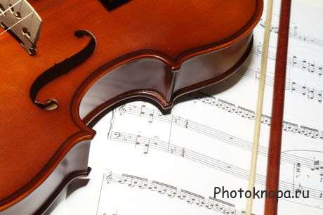 Клипарт скрипка, розы и ноты Клипарт скрипка, розы и ноты