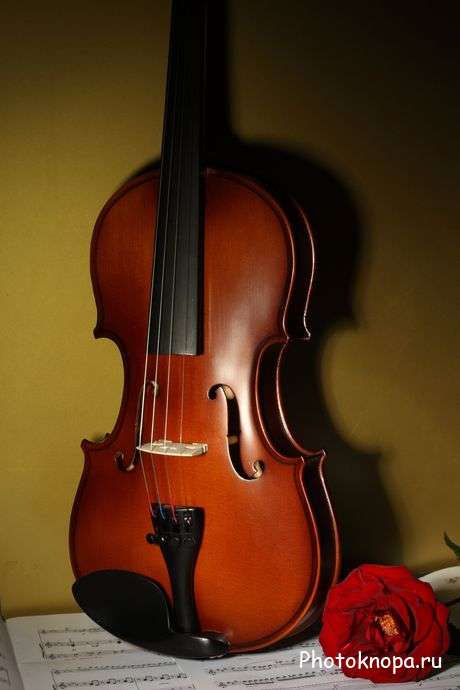 Клипарт скрипка, розы и ноты Клипарт скрипка, розы и ноты