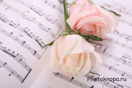 Клипарт скрипка, розы и ноты Клипарт скрипка, розы и ноты