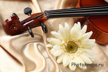 Клипарт скрипка, розы и ноты Клипарт скрипка, розы и ноты