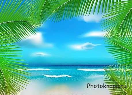 Тропический пляж векторный клипарт