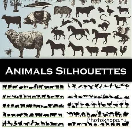     - Animals Silhouettes