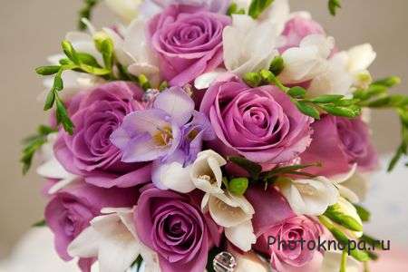 Цветы и букеты растровый клипарт - Flowers Цветы и букеты растровый клипарт - Flowers