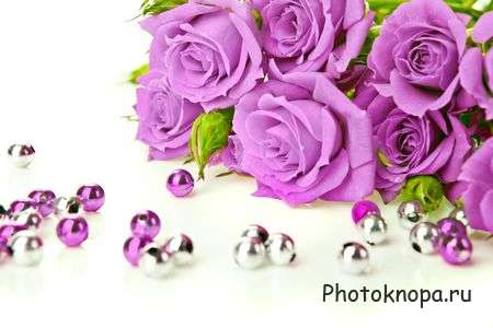 Цветы и букеты растровый клипарт - Flowers Цветы и букеты растровый клипарт - Flowers