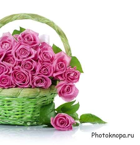 Цветы и букеты растровый клипарт - Flowers Цветы и букеты растровый клипарт - Flowers