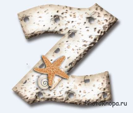 Морской алфавит с ракушками и морскими звездами
