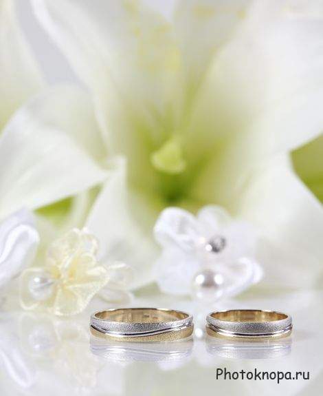 Свадебный клипарт - кольца, украшения / Wedding
