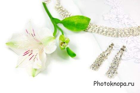 Свадебный клипарт - кольца, украшения / Wedding Свадебный клипарт - кольца, украшения / Wedding