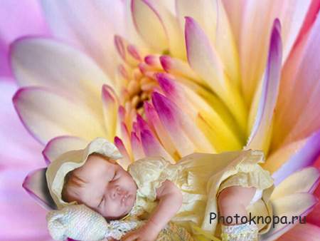 Детский шаблон для фотошопа ребенок в цветке