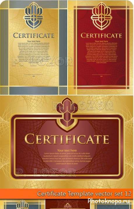      - Certificate vector -  