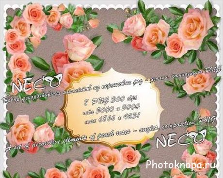 Розы и цветочные уголки на прозрачном фоне - PNG клипарт для фотошопа Розы и цветочные уголки на прозрачном фоне - PNG клипарт для фотошопа