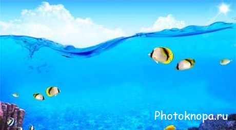 Рыбки в море - PSD исходник для фотошопа