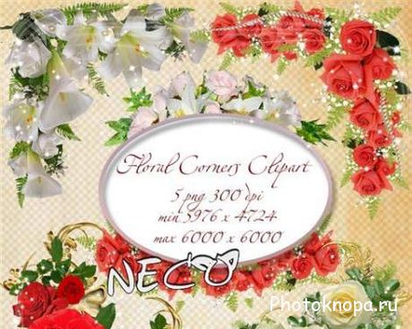 Цветочные уголки и цветы - PNG клипарт для фотошопа