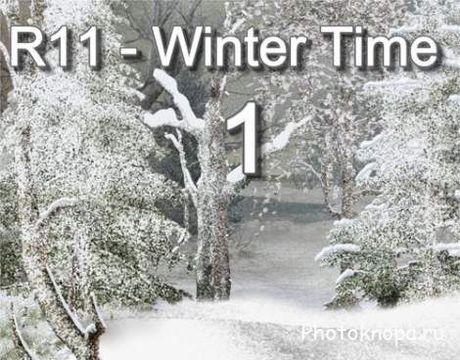 Зимний лес, снег, сугробы, деревья на прозрачном фоне - PNG клипарт