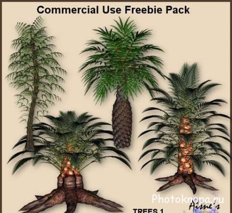 Тропические деревья и пальмы в PNG на прозрачном фоне