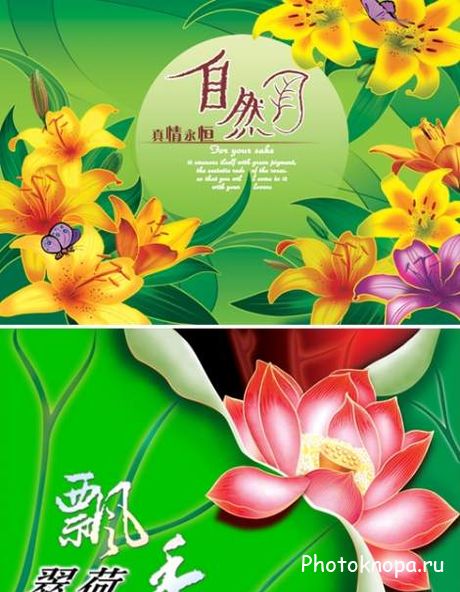 Цветы лотосы и лилии в PSD для фотошопа
