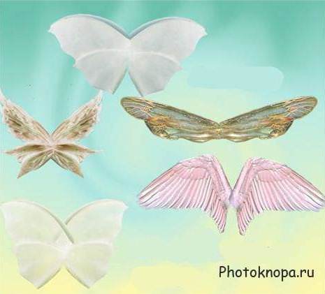Крылья бабочек на прозрачном PNG фоне для фотошопа