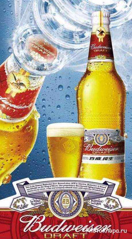 Светлое пиво в бутылках и бокалах - PSD исходник для фотошопа