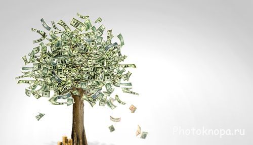 Денежное дерево с бумажными деньгами - PSD исходник для фотошопа