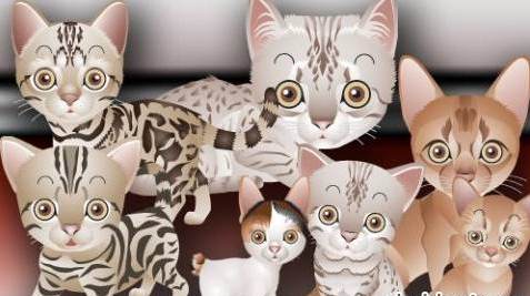 Кошки и котята в векторе Кошки и котята в векторе