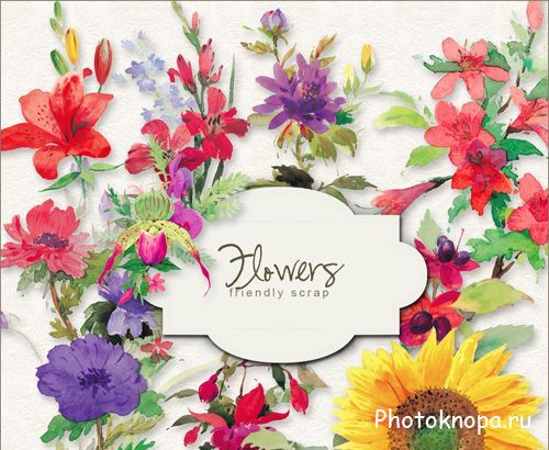 Нарисованные цветы - PNG клипарт для фотошопа