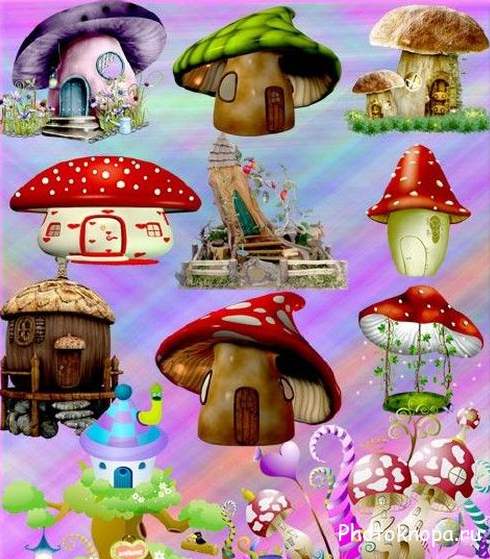 Сказочные грибы на прозрачном фоне - PNG картинки для фотошопа