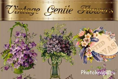 Винтажные цветы на прозрачном фоне - PNG картинки для фотошопа Винтажные цветы на прозрачном фоне - PNG картинки для фотошопа