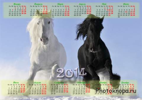 Календарь - Шикарные бело-черные лошади