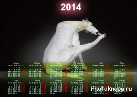 Календарь - Прикольная белая лошадка