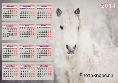 Календарь - Нежно-белая лошадка