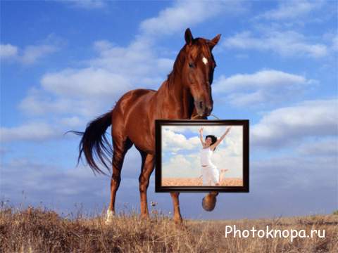 Рамка для фото - Лошадь в поле с вашей фотографией