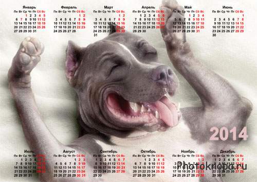 Веселая собака с улыбкой - Календарь 2014