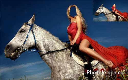 Женский шаблон - Блондинка на лошади по маковому полю