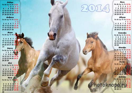 Игривые бегущие кони - красивый календарь 2014