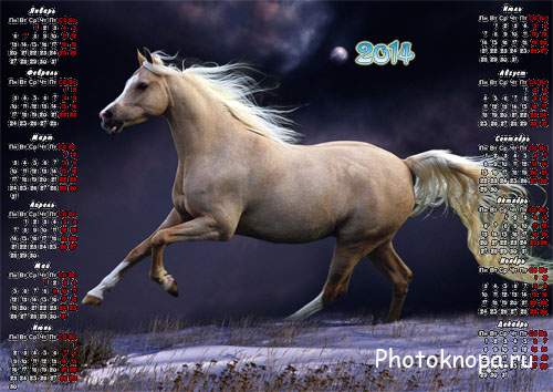 Красивый календарь - Игривый конь бегущий в темноте