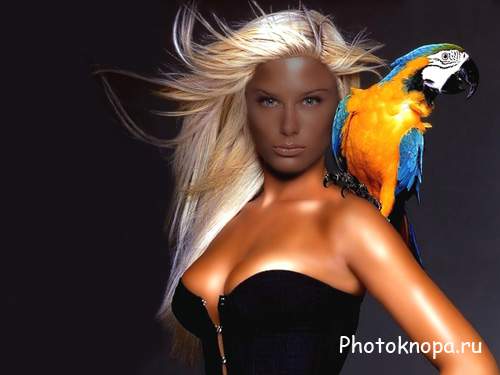 Шаблон для фотомонтажа - С красивым попугаем на плече