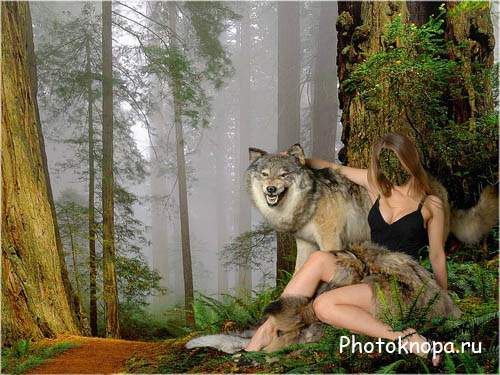 Женский шаблон - Девушка в лесу в обнимку с волком