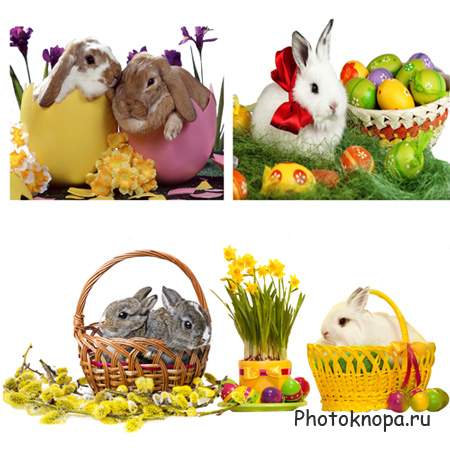 Клипарт – Символы Пасхи - кролики Клипарт – Символы Пасхи - кролики