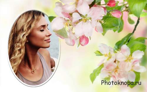 Рамка для фотошопа - Весенние нежные цветы