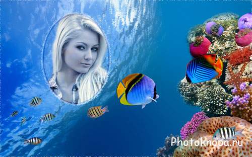 Яркие рыбки в кораллах - рамка для фото